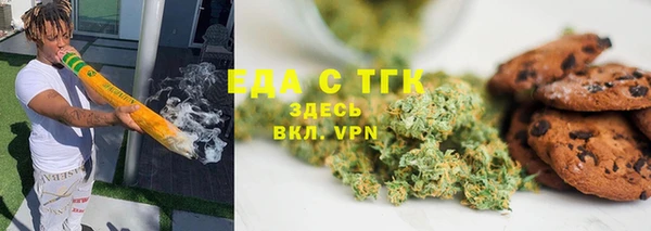 хмурый Алзамай