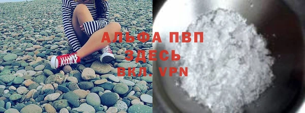 хмурый Алзамай