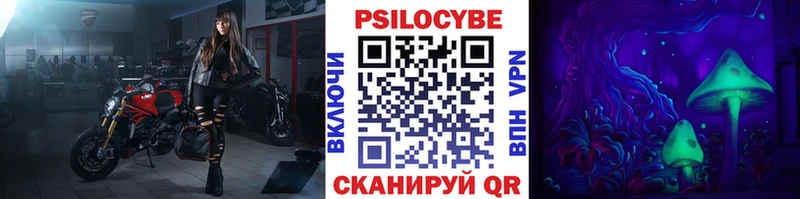 наркота  Тюкалинск  Галлюциногенные грибы Cubensis 